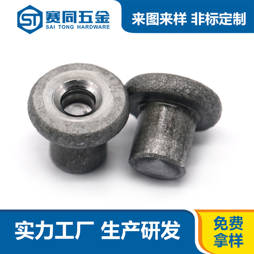 平頭實心鐵鉚釘（頭尾帶錐孔）